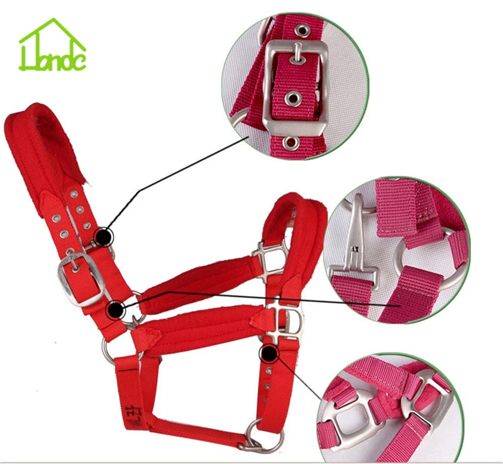 horse halter  (1)