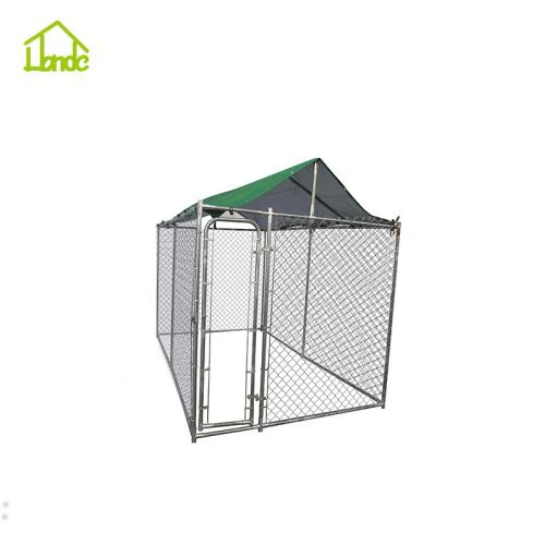 پت سگ کنل اجرا می شود با Sunshade