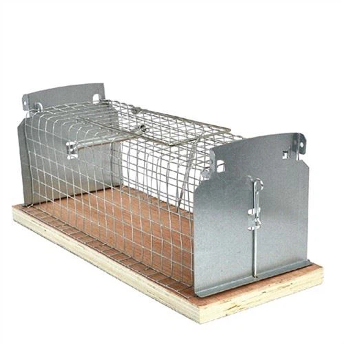 موش های پایه چوبی قفس تله