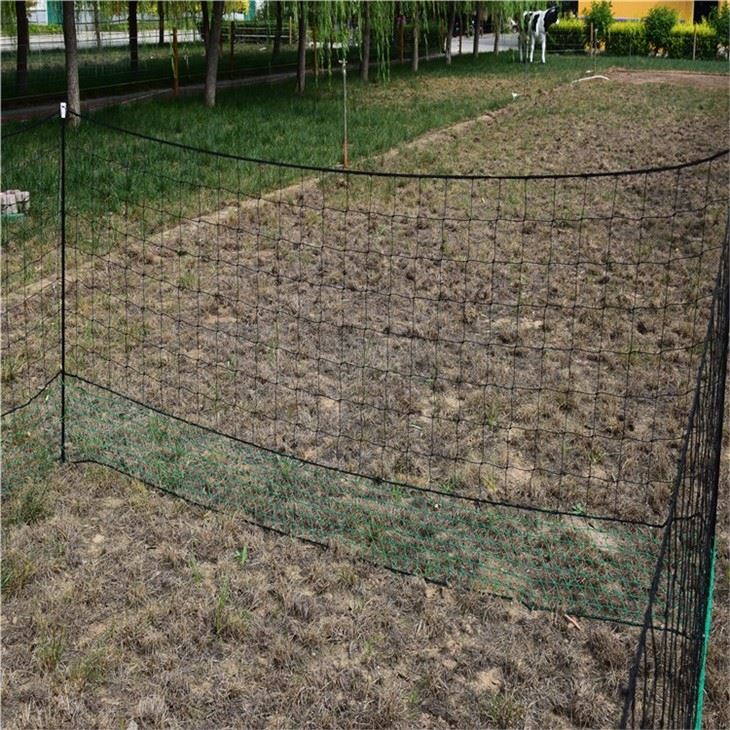 Knotted Poultry Netting