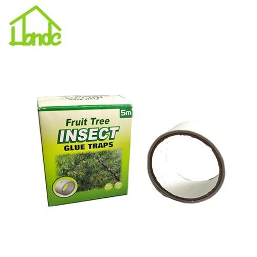 میوه درخت حشرات تله چسب